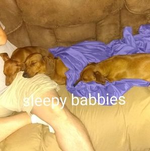 Meet your Posher, Jill